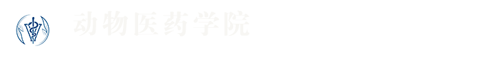 hahabet星辰大海